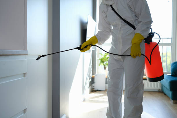 Best Home Mold Removal  in Upper Arlington, OH